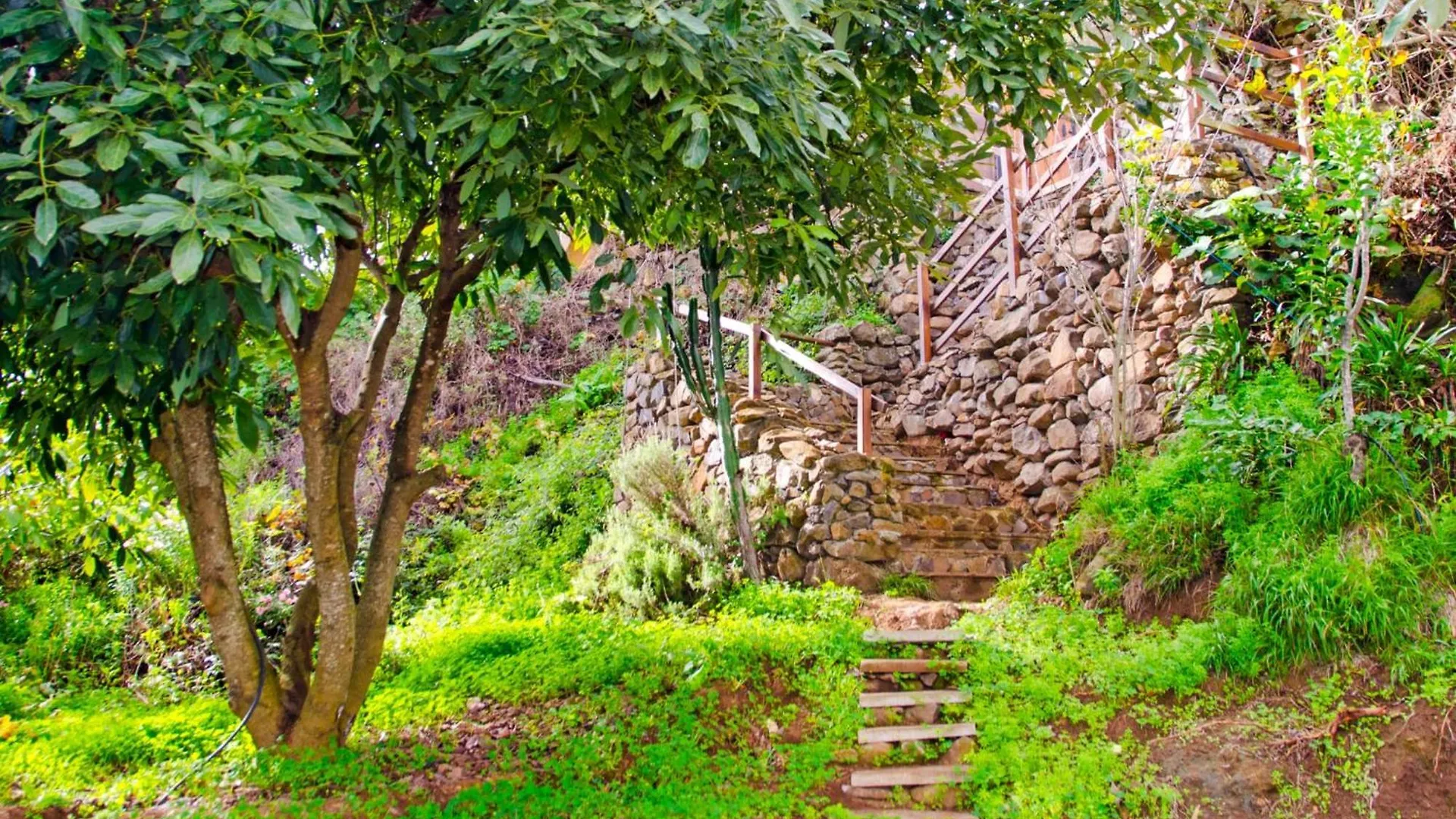 Zenda De Fontanales Villa Moya  Dağ evi Moya (Gran Canaria)